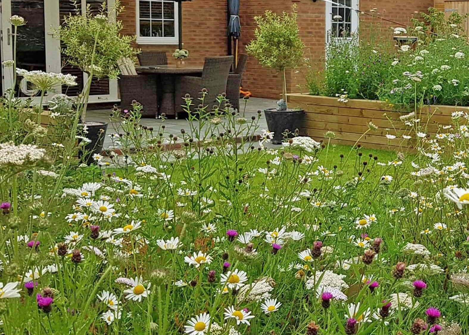 garden design including wildlife