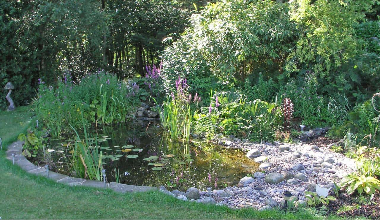 garden design containing a pond