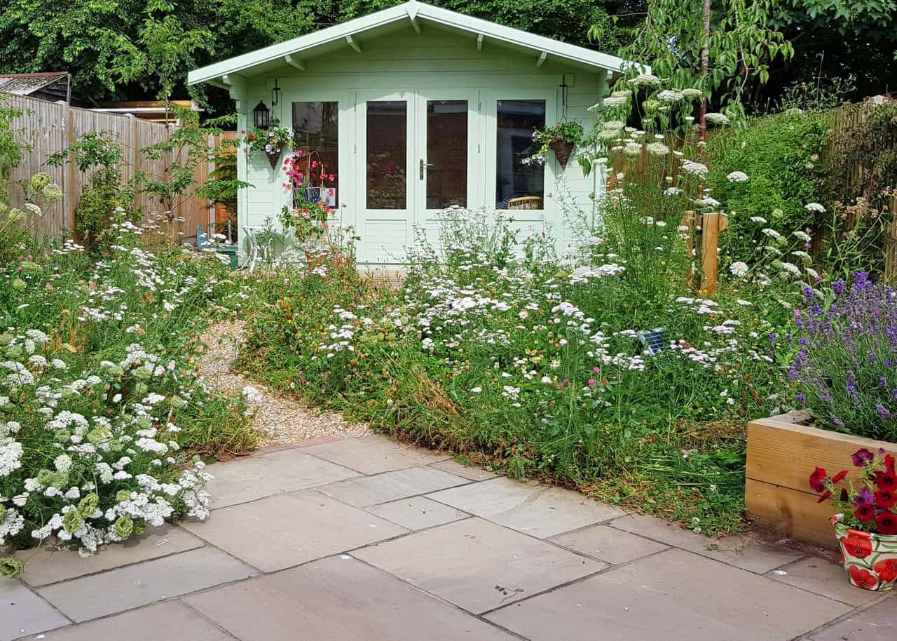 a small garden transformed by wildlife