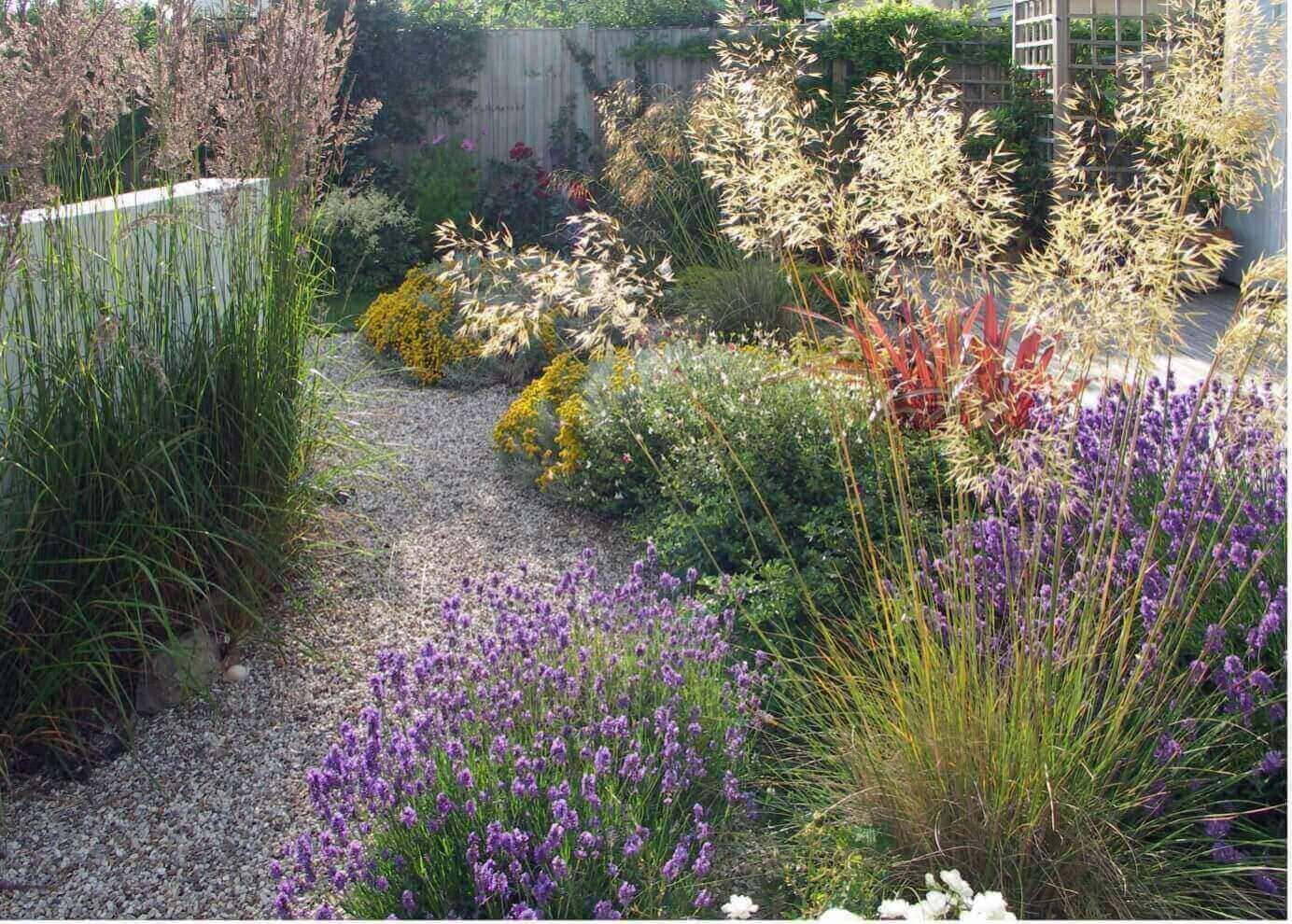 beautiful planting scheme
