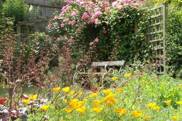 cottage Harmonious Garden Colour Scheme