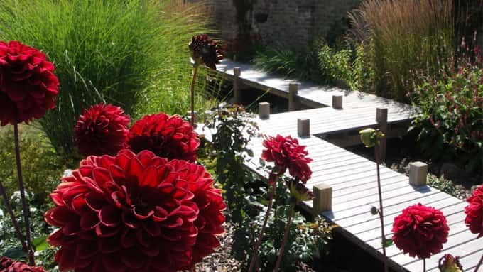 Best garden drainage solutions