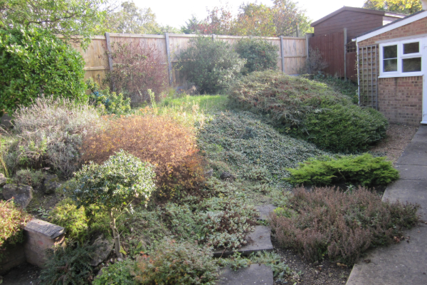 before garden restoration