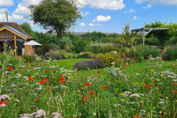 creative garden design