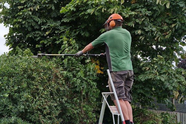 year-round-garden-care